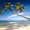 akumal rental homes
